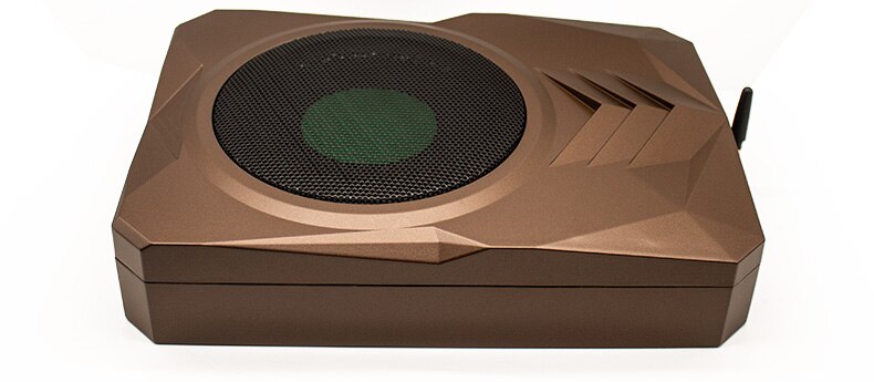 Car Active Subwoofer with Built-in Digital Sound Processor