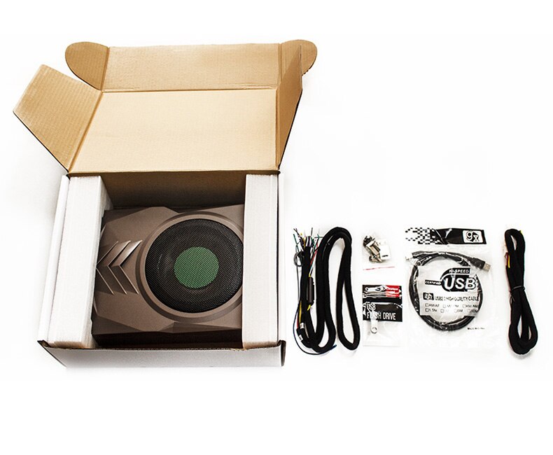 Car Active Subwoofer with Built-in Digital Sound Processor