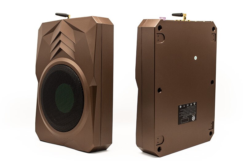Car Active Subwoofer with Built-in Digital Sound Processor