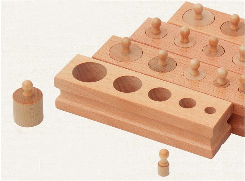 Montessori Educational Wooden 3D Puzzle