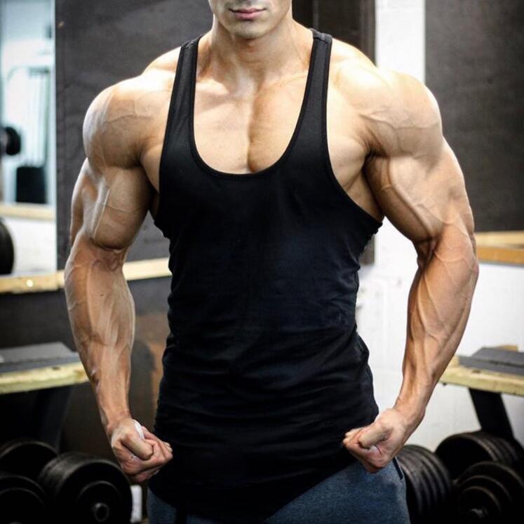 Cotton O-Neck Top for Men Cotton O-Neck Top for Men