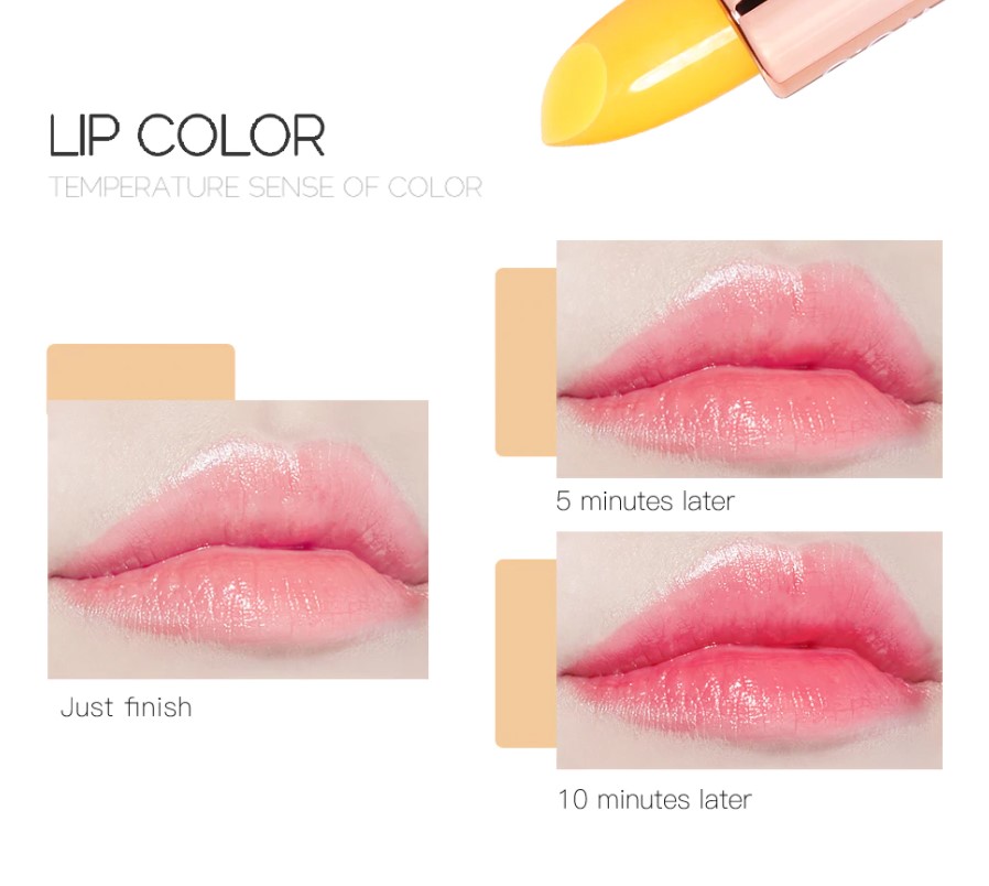 Moisturizing Lip Balm 12 Pcs Set