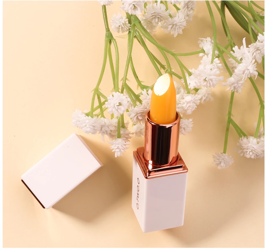 Moisturizing Lip Balm 12 Pcs Set