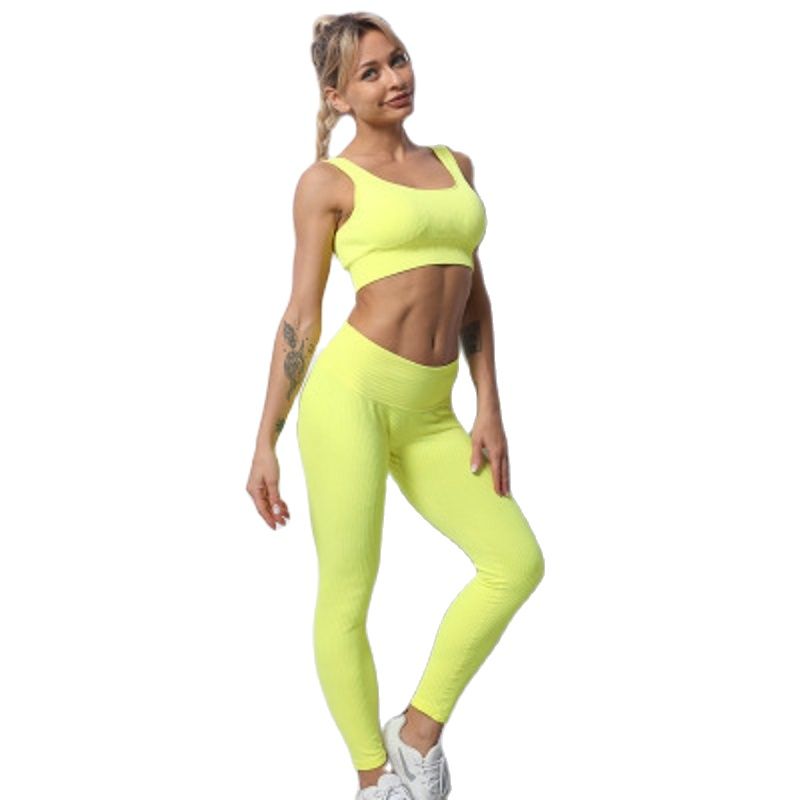 Women's Seamless Gym Set of Clothes